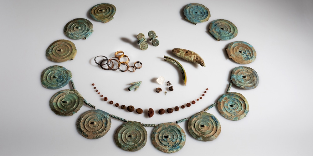 Carrots replaced by a rare treasure trove of Bronze Age jewellery